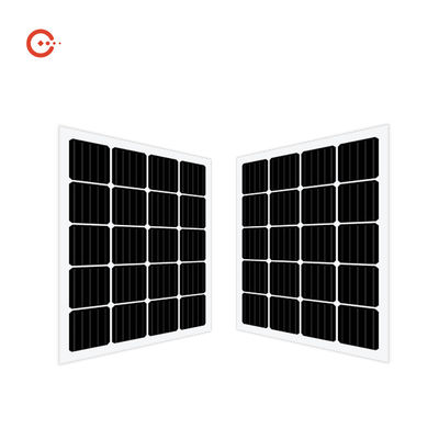 kwaliteit  Rixin CE BIPV Solar Panels Transparent Glass Monocrystalline PV Module fabriek