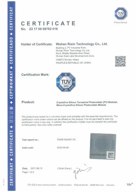 China Wuhan Rixin Technology Co., Ltd. certificaten